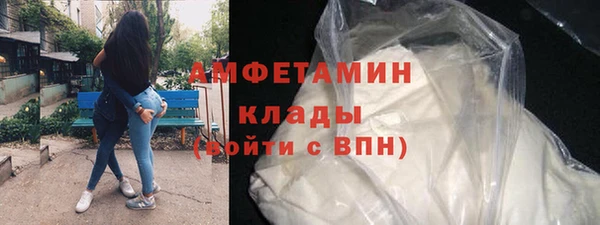 дживик Бородино