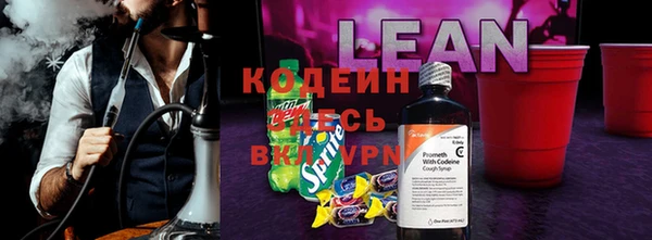 дживик Бородино