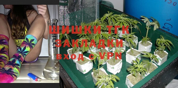 ГАЛЛЮЦИНОГЕННЫЕ ГРИБЫ Тихвин