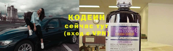 стафф Богданович