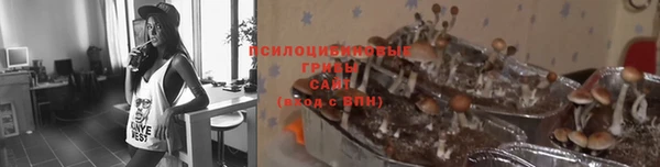 дживик Бородино
