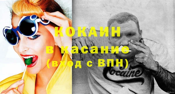 дживик Бородино