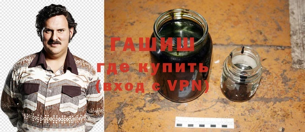 дживик Бородино