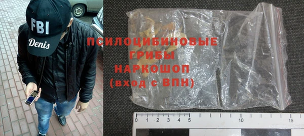 дживик Бородино