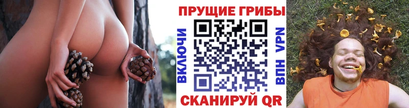 как найти   блэк спрут ССЫЛКА  Псилоцибиновые грибы MAGIC MUSHROOMS  Мосальск 